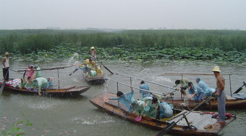 白洋淀荷花大观园、钻芦苇、打水仗双汽2日