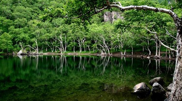 长白山西坡、十五道沟-望天鹅风景区双飞4日