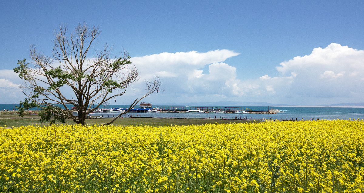 青海 宁夏双飞5（北京成团，包机）