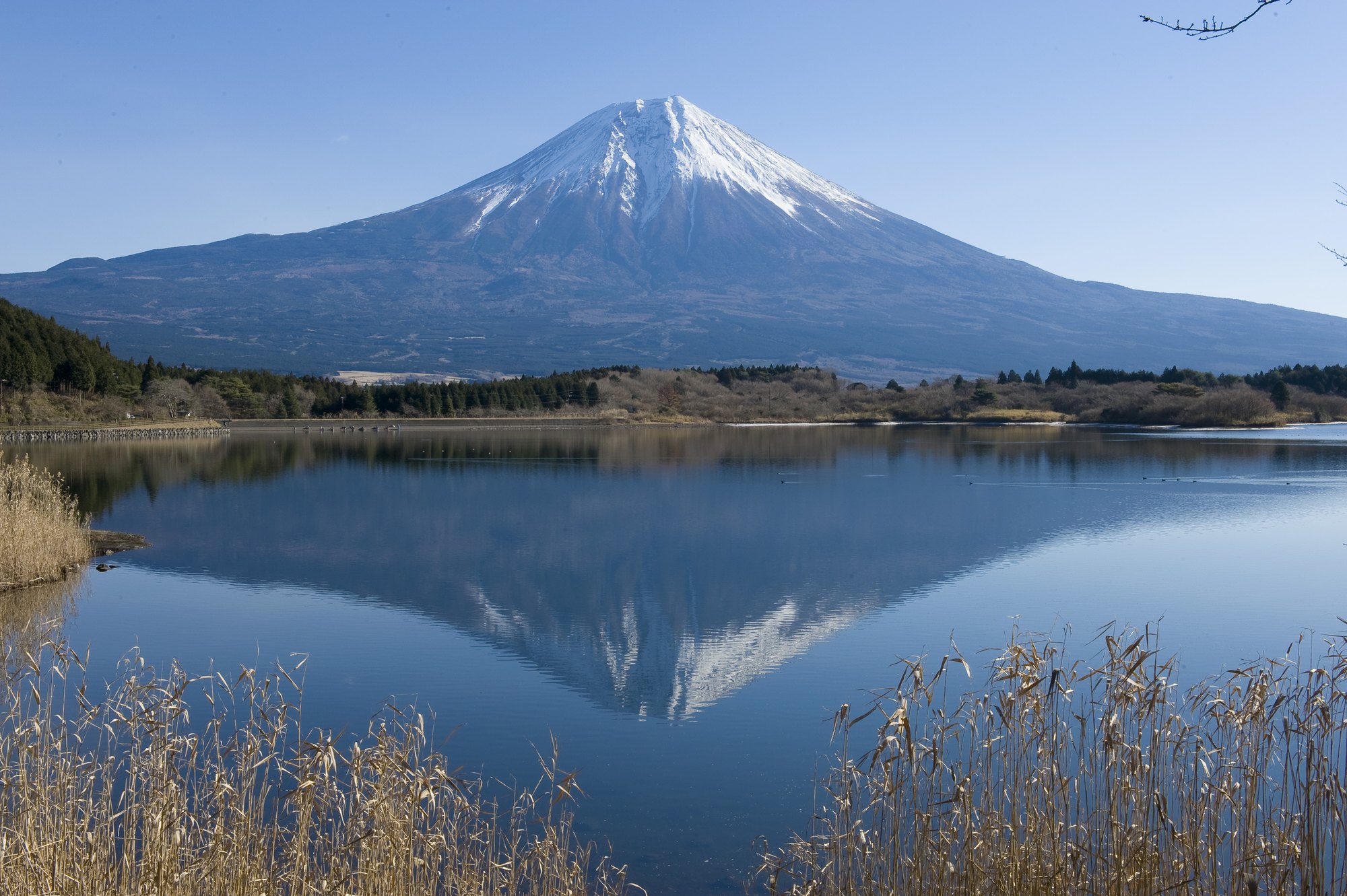 东京、箱根、京都、大阪6日**三大乐园の3~4星酒