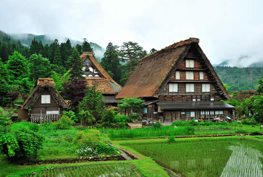 东京、箱根、大阪、京都、奈良、白川乡、神户