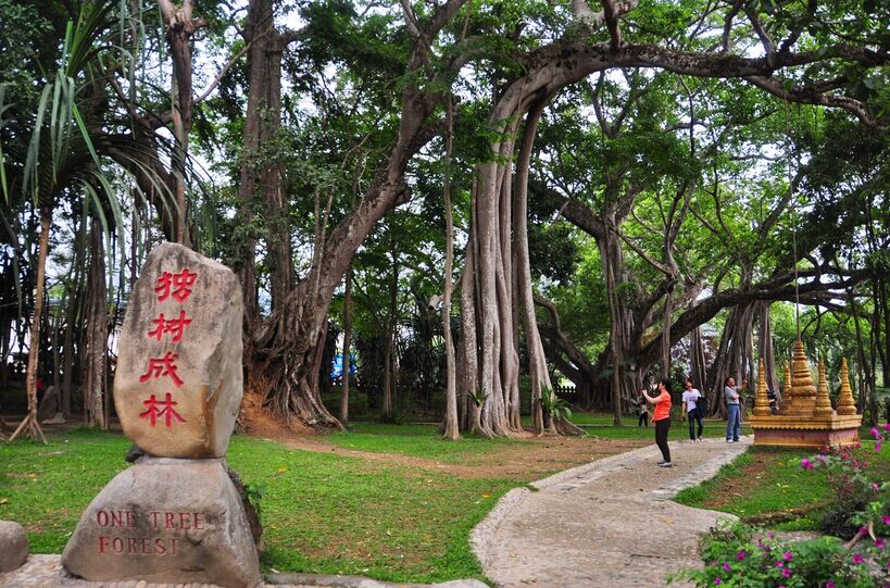 大理、腾冲、芒市双飞6日